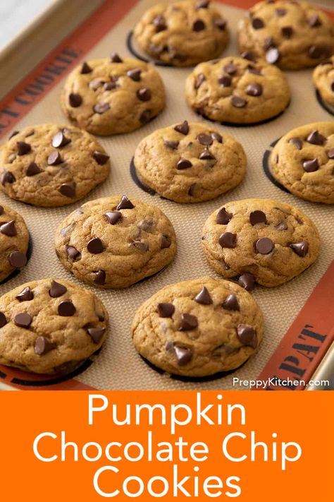 Salted Caramel Chips, Pumpkin Chocolate Chip Cookies Easy, Seasonal Cookies, Caramel Chips, Cookies Fall, Pumpkin Recipes Easy, Preppy Kitchen, Easy Chocolate Chip Cookies, Pumpkin Chocolate Chip