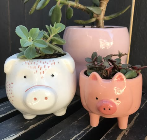 Cute Pig Decor, Pottery Plant Pots, Clay Candle, Pig Decor, Henna Tattoo Designs Simple, Pinch Pots, Pottery Classes, Cute Pigs, Ceramics Projects