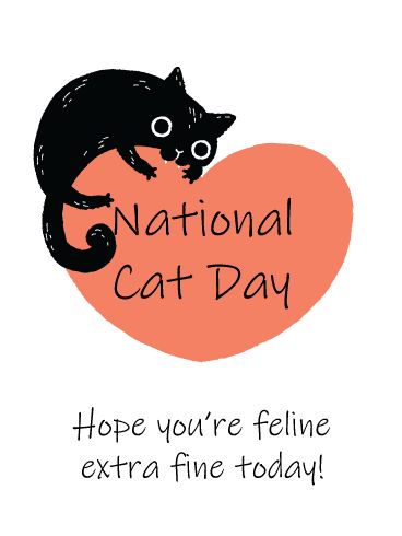 National Black Cat Day, Black Cat Day, National Cat Day, Cartoon Cats, Cats Black, Birthday Reminder, Cartoon Heart, Black Kitty, Fun Life