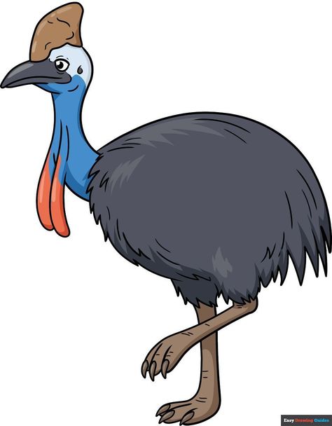 Learn How to Draw a Cassowary: Easy Step-by-Step Drawing Tutorial for Kids and Beginners. See the full tutorial at https://easydrawingguides.com/how-to-draw-a-cassowary/ . Cassowary Drawing, Cartoon Bird Drawing, Easy Bird, Animal Art Projects, Drawing Guides, Easy Drawing Tutorial, Flightless Bird, Drawing Tutorials For Kids, Popular Cartoons