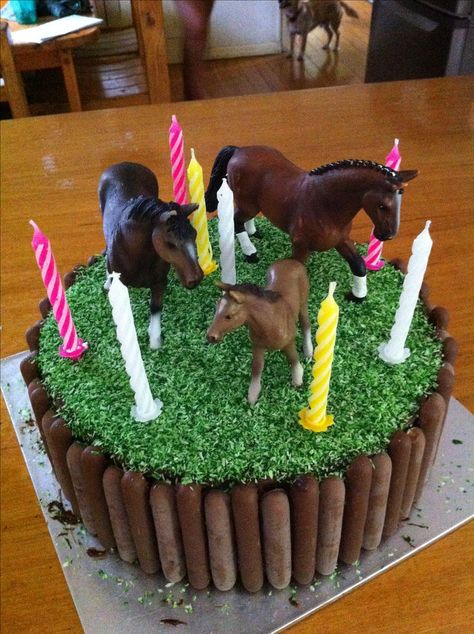 Horse Cake Ideas, Horse Cakes, Birthday Cake Recipes, Horse Birthday Cake, Icing Chocolate, Double Layer Cake, Toy Horses, Horse Birthday Parties, Horse Cake