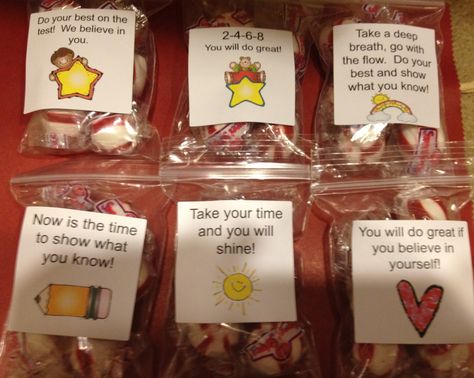 A Bag of "Encourage-mints" to give to students during state test week. I like the positive statesments written on the bags. Treat Bags For Students, State Testing Motivation, Testing Treats For Students, Bags For Students, Test Motivation, Map Testing, State Testing Encouragement, Testing Treats, Student Treats