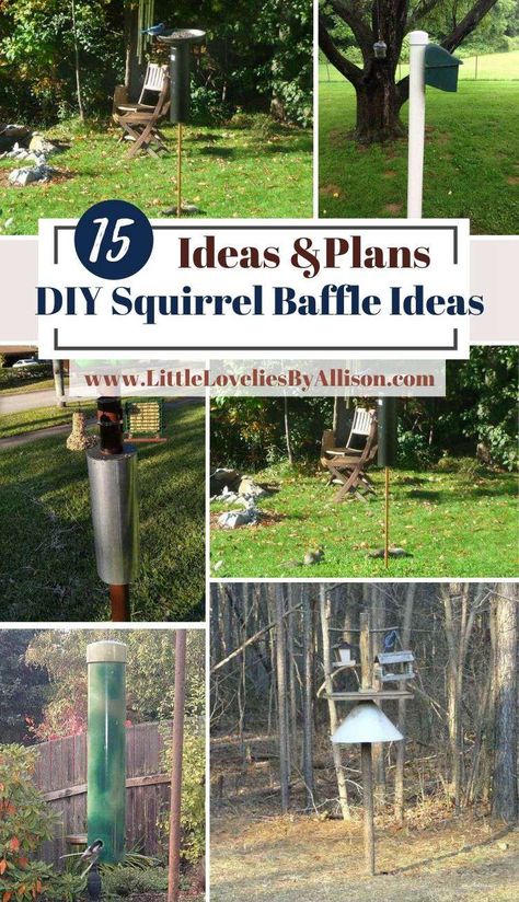 Diy Baffle For Bird Feeder, Squirrel Baffle Diy Ideas, Diy Squirrel Baffle For 4x4 Post, Squirrel Baffle Diy, Bird Feeder Baffle, Bird Playground, Squirrel Baffle, Bird Feeder Poles, Squirrel Proof Bird Feeders