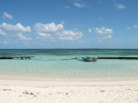 Did you know Guadeloupe is shaped like a butterfly? Morph into your next vacation in style with Sailo! #sailo #sailoboats #Guadeloupe 🇬🇵 https://www.sailo.com/discover-boating/destination-guides/sailing-in-guadeloupe/ Gros Morne, Marie Galante, Jacques Cousteau, Mangrove Swamp, Tourist Center, Vacation Goals, Sailing Trips, Dream Vacations Destinations, Caribbean Beaches