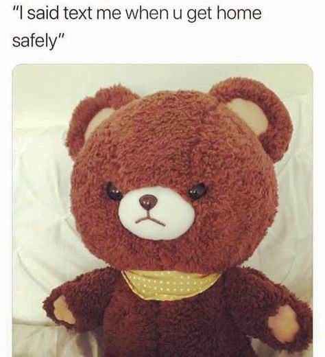 High School Memes, Rilakkuma Funny Memes, Morning Sickness Meme, Care Bear Memes Funny, Funny Text Memes, Sleep Deprived Memes Hilarious, Leo And Virgo Relationship Memes, Cute Bat, School Memes