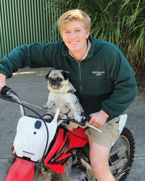 Croc Bae, Irwin Family, Robert Irwin, Crocodile Hunter, Bindi Irwin, Steve Irwin, Weak In The Knees, A Pug, Cute Funny Dogs