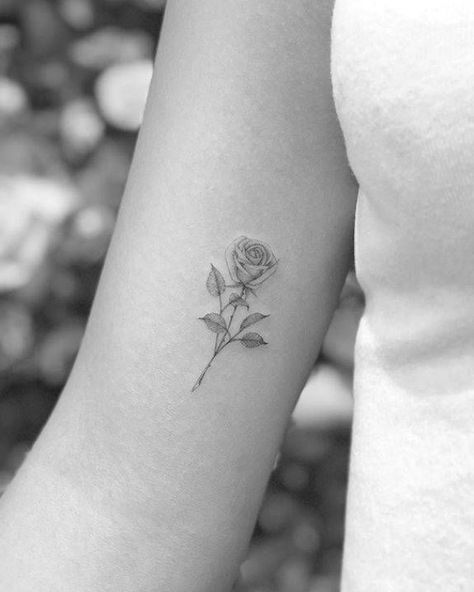 Single needle rose tattoo on the inner arm. #tattooideas #tattoos Zwilling Tattoo, Inside Of Arm Tattoo, Rose Tattoo On Arm, Inner Arm Tattoos, Inner Bicep Tattoo, Simple Arm Tattoos, Inner Arm Tattoo, Rose Tattoos For Women, Small Rose Tattoo