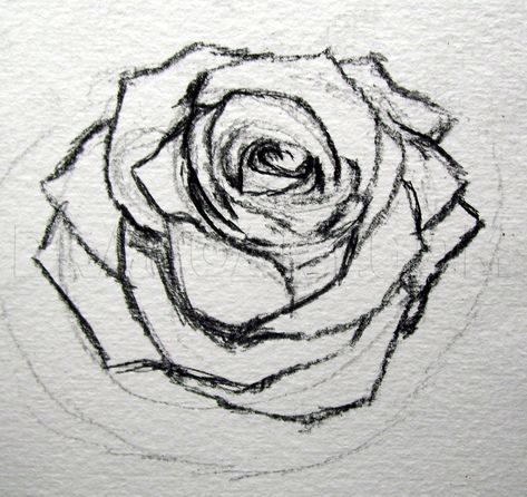 Flower Art Drawing, Rose Drawing, Flower Sketches, Roses Drawing, Piece Of Paper, Graffiti Drawing, Doodle Art Designs, Guided Drawing, Art Drawings Sketches Creative