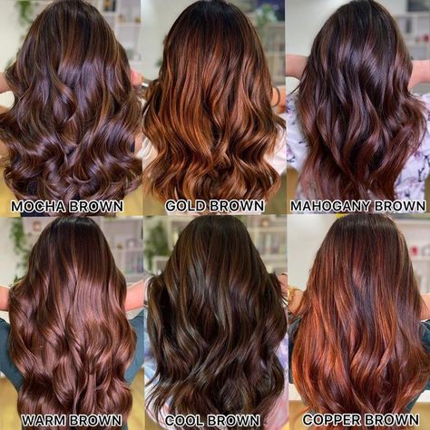 Homemade Hairstyles, Mocha Color Hair, Hair Color Swatches, Chocolate Brown Hair Color Ideas, Mahogany Hair, Hair Color Mahogany, Mocha Hair, Brown Hair Color Ideas, Highlights Curly Hair