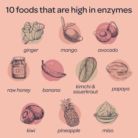 Revivele, Inc. on Instagram: "Digestive enzymes play a key role in helping your body break down carbohydrates, fats, and proteins. They make it possible for your body to absorb the nutrients in your food, which, in turn, helps you maintain optimal health! If you have inadequate digestive enzymes, that can ultimately destroy your gut health, and a healthy gut is needed to have a healthy brain and body! Regularly consuming foods that contain natural digestive enzymes, such as kimchi, ginger, mi Uc Diet, Nutrient Food, Gut Health Recipes, Clean Eating Lunch, Preventative Health, Healthy Brain, Food Info, Digestive Enzymes, Health Wealth