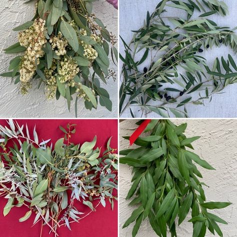 Bulk Mixed Foliage Box Perfect for Floral Arranging Event | Etsy Wedding Foliage, Wedding Plants, Table Garland, Wild Olive, Floral Arranging, Fresh Eucalyptus, Elegant Centerpieces, Olive Branch, Anniversary Parties