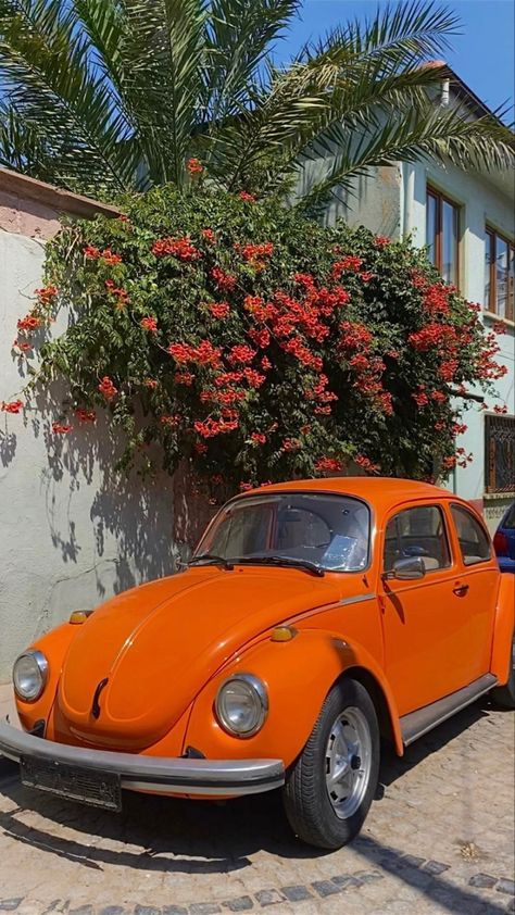 Volkswagen Aesthetic, Beetle Volkswagen, Volkswagen Vans, Cute Vans, Vw Art, Old Vintage Cars, Jaune Orange, Orange Roses, Vw Bug