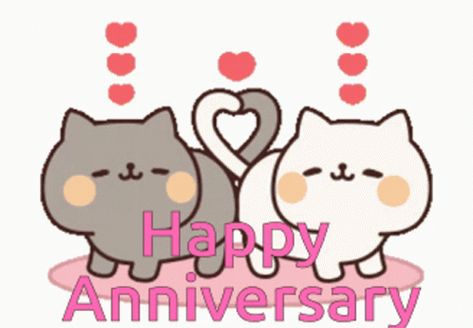 Happy Anniversary Cat Couple, Happy Anniversary Cute Images, Happy Anniversary Gif Animation, Happy Anniversary Gif Images, Anniversary Memes, Happy Anniversary Funny, Cats Animated, Cats Gif, Happy Aniversary