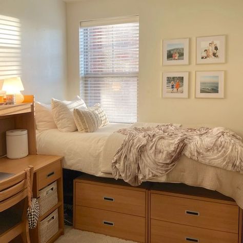 Bunk Bed Dorm Room Ideas, Mizzou Dorm, Budget Dorm Room, Cozy College Dorm, Dorm Room Layouts, Cozy Dorm, College Dorm Room Inspiration, Dream Dorm Room, Cozy Dorm Room