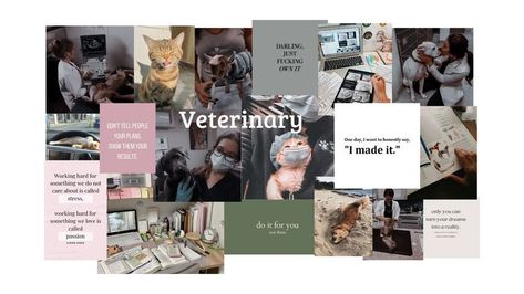 #animals #visionboard #cute #student #motivation #vetschool #veterinary Vet Wallpaper Laptop, Vet Tech Vision Board, Veterinary Aesthetic Wallpaper, Vet Student Aesthetic Wallpaper, Vet Girl Aesthetic, Veterinary Medicine Wallpaper, Vet Aesthetic Wallpaper, Female Veterinarian Aesthetic, Veterinarian Aesthetic Wallpaper