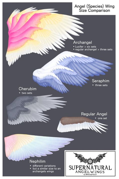 Angel Wings Types, 3 Pairs Of Wings Drawing, 3 Winged Angel, Types Of Wings Angels, How To Draw Wings On People Step By Step, Feather Drawing Reference, Types Of Angel Wings, Four Winged Angel, Angel Base Drawing