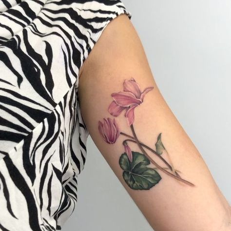 Katerina Kontodima on Instagram: "Hey hey !! Here's a Cute Cyclamen done today at @unclechronistattoo ! #cyclamen #botanical#tattoo #tattoos" Cyclamen Flower Tattoo, Cyclamen Tattoo, Tattoos Aesthetic, Arabic Tattoo Quotes, Arabic Tattoo, Botanical Tattoo, Flowers Tattoo, Tattoo Inspo, Flower Tattoos