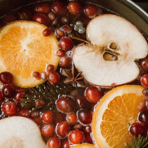 christine higgs | home decor on Instagram: "Holiday simmer pot ✨ There’s something so magical about simmer pots during this time of the year. 🥹 They’re so warm and cozy and I love that they use only a few ingredients! I typically use them for a full day but I have seen people re-use the ingredients over multiple days and even make a tea out of them! If you make a tea I would sub out some of the ingredients like the pine and the star anise. Ingredients 1 orange, sliced 1 apple, sliced 1 bag of cranberries 3 cinnamon sticks 3-4 star anise 3-4 cloves A handful of pine or rosemary Directions Combine ingredients in a pot and bring them to a boil. Once boiling reduce heat to a simmer and enjoy! #holidaysimmerpot #simmerpot #myhomevibe #christmas2023 #christmaskitchen #christmasrecipe #chris Star Anise Aesthetic, Cranberry Simmer Pot, Simmer Pot Aesthetic, Autumn Simmer Pot, Christine Higgs, Holiday Simmer Pot, Simmering Pot, Simmer Pots, November Mood