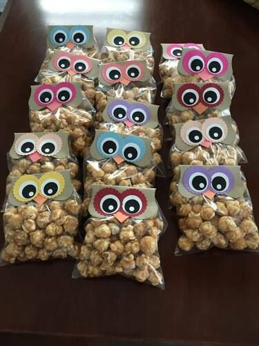 Owl Gifts For Kids, Owl Trunk Or Treat, Owl Themed Food, Owl Party Food, Owl Birthday Party Ideas, Owl Treat Bags, Owl Snacks, Owl Party Favors, Owl Themed Birthday Party