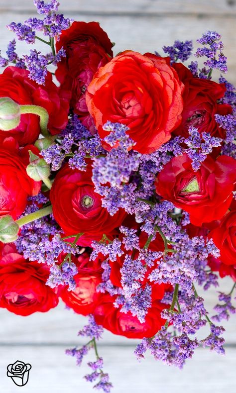 Red Purple Flowers, Red Flower Arrangements, Bouquet Champetre, Bright Winter, Red And Purple, Wedding Arrangements, Arte Floral, Red Wedding, Red Flower