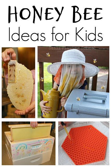 Bee Science Experiment, Honey Bee Activities For Kids, Bee Theme Ideas, Bee Inquiry, Activies For Kids, Preschool Insects, Bees For Kids, Insect Study, Honey Bee Theme