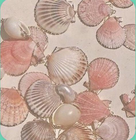 Beach Aesthetic Room, Techno Festival, Dance Partner, Home Entryway, Edc Las Vegas, Beachy Room, Cute Backgrounds For Phones, Mermaid Aesthetic, She Sells Seashells