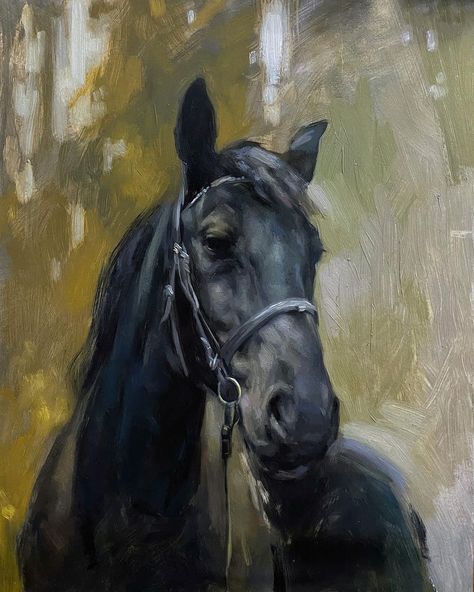 Cool And Mysterious, Jennifer Gennari, Horse Canvas Painting, Abstract Horse Painting, Horse Oil Painting, Wildlife Artwork, Horse Artwork, Equestrian Art, Horse Portrait