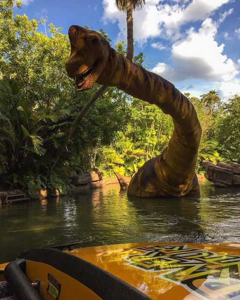 Universal Orlando News™ on Instagram: “Jurassic Park River Adventure ⁣ 📸: @nguvacations #jurassicpark #jurassicparkriveradventure #universalstudios #orlando #epicuniverse…” Jurassic Park Orlando, Jungle Park, Park River, Jurrasic Park, Orlando Parks, Gallon Of Water, Islands Of Adventure, Universal Orlando, Jurassic Park