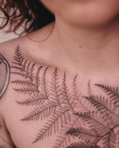 Ferns Tattoo Design, Blackwork Fern Tattoo, Fern And Fiddlehead Tattoo, Abstract Fern Tattoo, Realistic Fern Tattoo, Deer Fern Tattoo, Fern Tattoo Thigh, Fern Ear Tattoo, Red Fern Tattoo