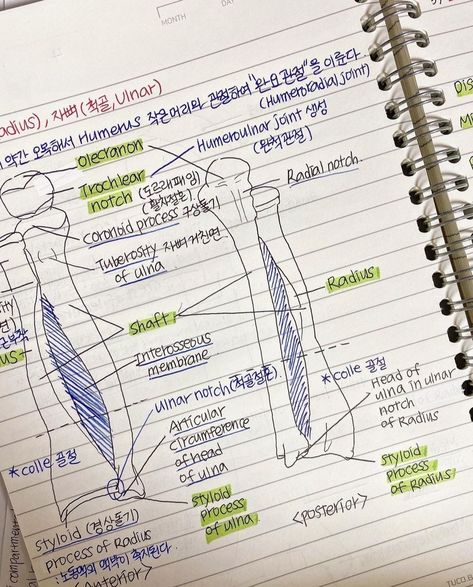 Korean Nurse Aesthetic, Med Student Notes Aesthetic, Korean Medical Student Aesthetic, Korean Medicine, Med School Study, Notes Study, Study Aesthetics, Handwriting Examples, Study Biology