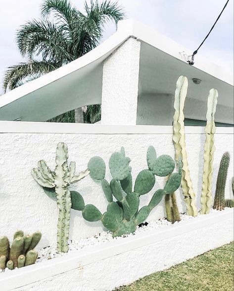 Cactus Garden White Pebbles, White House Cactus Landscape, White Stucco Fence Wall, Cactus Front Garden, Cactus Garden Front Yard, Pool Cactus Garden, Front Yard Landscaping Cactus, Cactus Pool Landscaping, Palm Springs Garden Australia