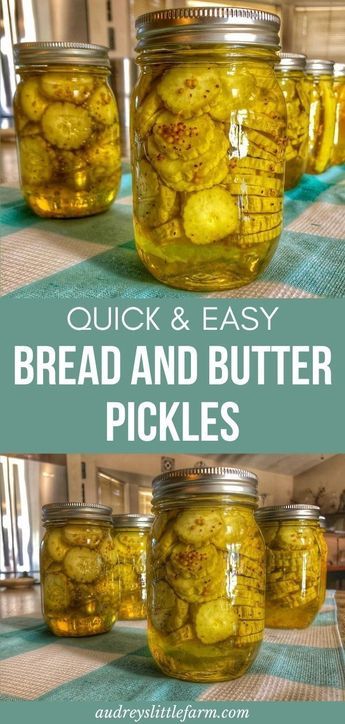 Diy Bread And Butter Pickles, Bread And Butter Pickles With Honey, Pickling Cucumbers Bread And Butter, Bead And Butter Pickles Recipe, Recipe For Bread And Butter Pickles, Homemade Bread And Butter Pickles Easy, Homemade Pickles Bread And Butter, Ball Bread And Butter Pickle Recipe, Quick Pickles Bread And Butter