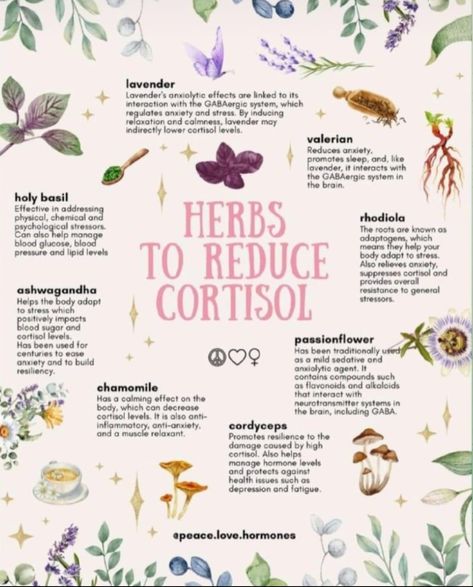 Regulate Cortisol, Lower Cortisol, Medical Herbs, Feminine Health, Herbal Apothecary, Natural Healing Remedies, Herbal Healing, Home Health Remedies, Herbal Magic