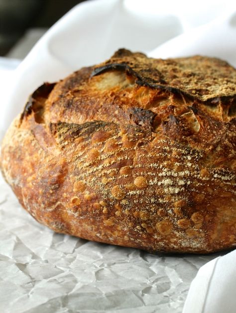 Karen's Kitchen Stories: Tartine Basic Country Bread Tartine Bread, Artisan Breads, Brioche Recipe, Country Bread, Bread Art, Bread Baker, Sourdough Baking, Sourdough Bread Recipe, Food And Recipes