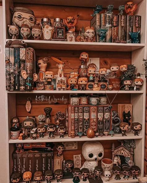 Funko Display Ideas, Harry Potter Shelf, Funko Pop Display Ideas, Harry Potter Display, Pop Display Ideas, Slytherin Room, Harry Potter Room Ideas, Harry Potter Library, Harry Potter Bedroom Decor