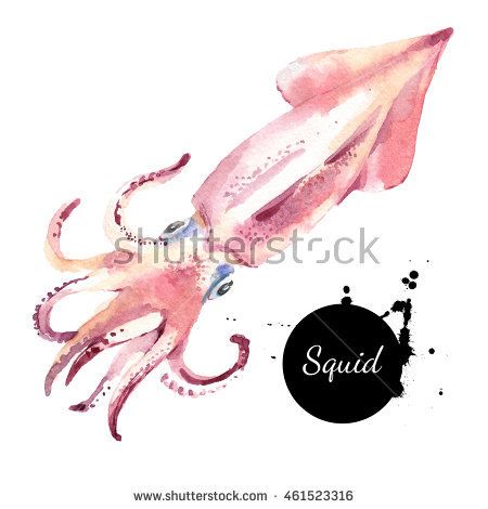 Watercolor hand drawn squid. Isolated fresh seafood illustration on white background Seafood Background, Seafood Bisque Recipe Easy, Best Seafood Chowder Recipe, Seafood Illustration, Watercolor References, Seafood Bisque Recipe, Seafood Pasta Dishes, Seafood Linguine, Baby Squid