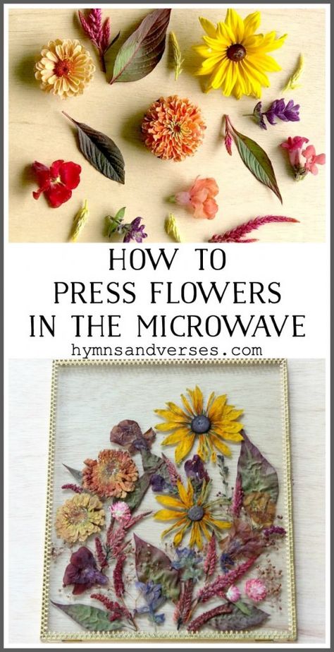 Microwave Flower Press, Pressed Flowers Diy, Press Flowers, Dried Flowers Diy, Pressed Flower Crafts, Flower Press, Fleurs Diy, Dried And Pressed Flowers, Diy Bricolage