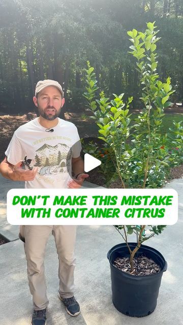 Josh Gardens on Instagram: "⁉️Post the word fruit in the comments and I’ll send you free resource on taking care of container fruit trees. 🌳 🍊 

😆It’s funny because I actually did a video on this citrus tree a year ago when I got started with social media and up potted it then. 🗓️ The tree has grown a tremendous amount just in one year. 📈

✂️ Make sure you prune your citrus every year after it fruits so that you can keep it manageable. 

🙋What questions do you have about keeping up with your container fruit trees? 🌳 🍋Post in the comments below, and and I’ll do my best to assist.👇

#fruittrees #containergardening #citrustrees #keylime #limetree #homeorchard" Potted Fruit Trees, Citrus Tree, Lime Tree, Citrus Trees, Back Deck, What If Questions, Key Lime, A Year Ago, Fruit Trees