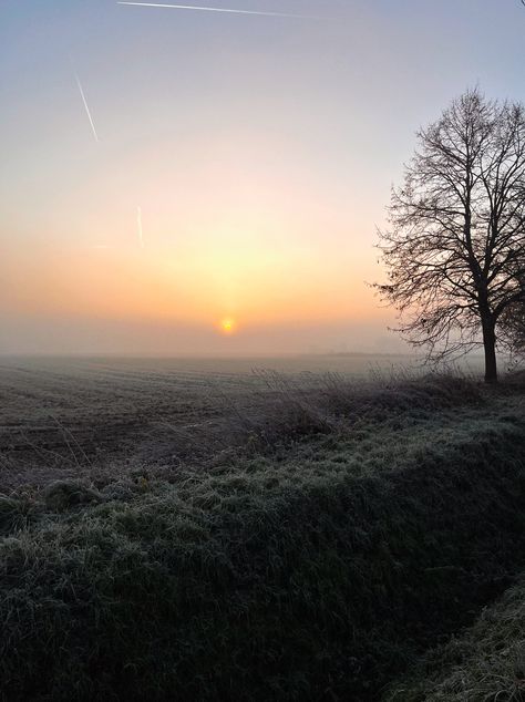 Foggy Morning Wallpaper, Crisp Winter Morning, Winter Sunrise Mornings, Wakeup Early Aesthetic, Notion Pictures, Grey November, Early Winter Morning, English Winter, Sunrise Winter