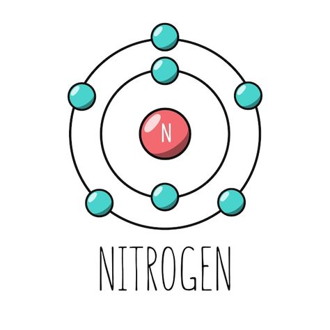 Carbon Atom Model, Atom Model Project, Bohr Model, Atom Model, Cheer Tryouts, Science Projects, Baby Cats, Graphic Design Posters, Vector Photo