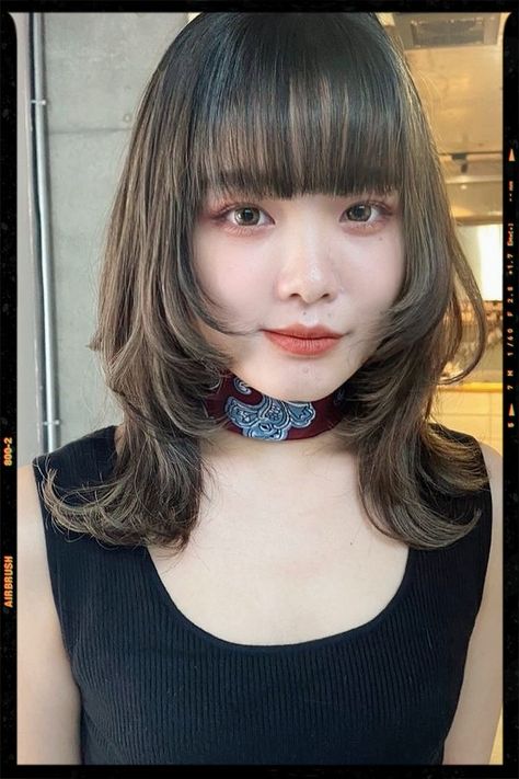 Wolf Cut Hair - Hair Color Idea - Haircut Idea Wolf It With Bangs, Japanese Wolfcut, Light Brown Wolf Cut, Hime Wolf Cut, Brown Wolf Cut, Brown Wolf, Hair Wolfcut, Wolf Cut Hair, App Filter