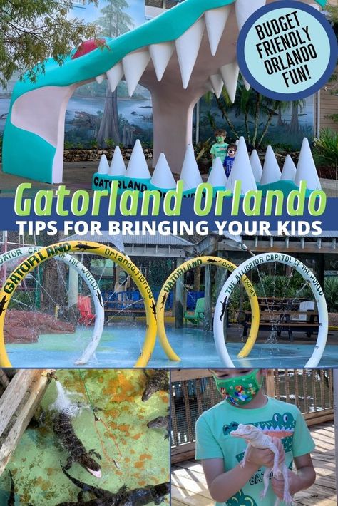 Things To Do Orlando, Gatorland Orlando, Guy Standing, Beach 2024, Universal Studios Orlando Trip, Orlando Florida Vacation, Baby Alligator, Boredom Busters For Kids, Universal Vacation