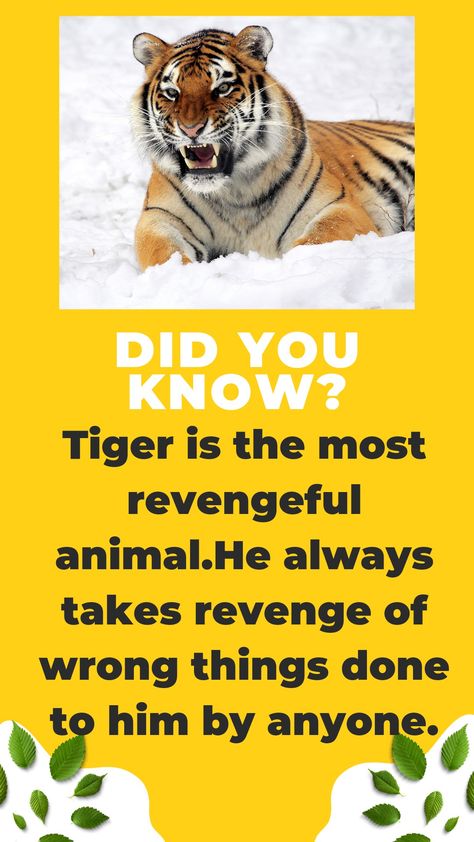 Facts about tiger Types Of Tigers, Tiger Facts, Science Project, Endangered Animals, Animal Facts, Anime Pictures, Amazing Facts, Cool Anime Pictures, Cute Animal Pictures