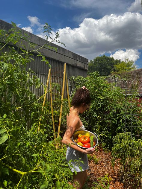 Tomato Plants Aesthetic, Raised Bed Garden Aesthetic, Backyard Vegetable Garden Aesthetic, Spring Gardening Aesthetic, Growing Vegetables Aesthetic, Fruit And Vegetable Garden Aesthetic, Woman Gardening Aesthetic, Urban Garden Aesthetic, Vision Board Garden