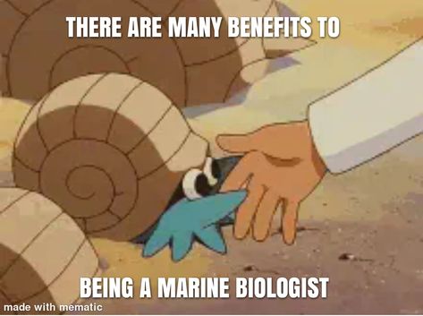 There Are Many Benefits To Being A Marine Biologist, Marine Meme, Marine Memes, Biology Memes, Marine Biologist, Silly Girls, Pokemon Memes, Marine Biology, Game Character Design