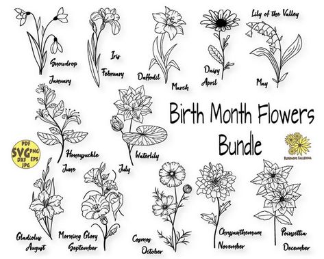 September Birth Flower Tattoo Morning Glories, Waterlily Tattoos July, Bouquet Flower Tattoo, Tattoo Wildflowers, August Gladiolus, January Snowdrop, Ballerina Artwork, September Morning, Floral Svg