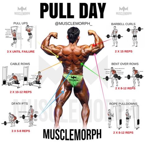 Push Pull Workout, Pull Day Workout, Pull Day, Bolesti Chrbta, Gym Antrenmanları, Muscle Building Workouts, Weight Training Workouts, Popular Workouts, Chest Workouts