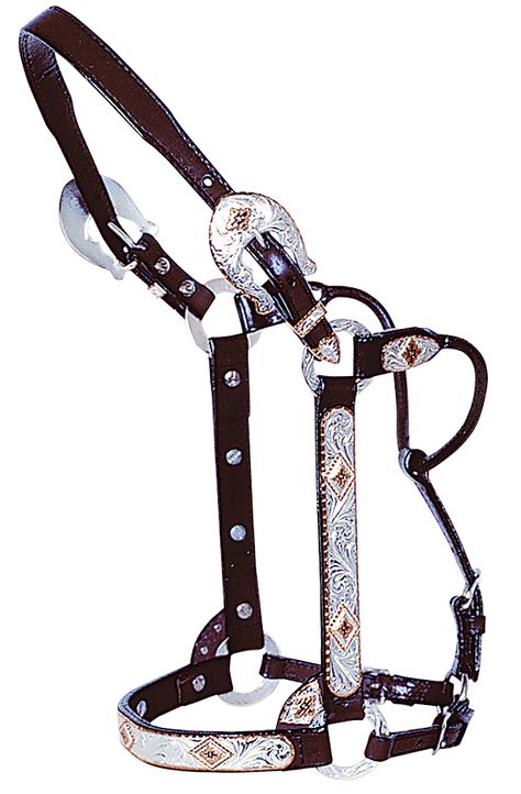 Western Pleasure Outfit, Halter Horse, Western Headstall, Western Bridles, Horse Halters, Horse Halter, Horse Harness, Western Tack, Horse Things