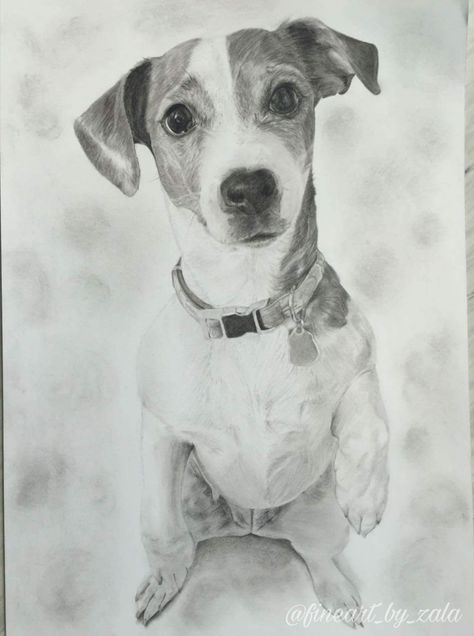 #art #dog #drawing #graphite #realism #pet #animal Jack Russel Drawing, Colorful Dog Art, Value Drawing, Pet Drawing, Dog Anatomy, Jack Russell Dogs, Drawing Conclusions, Dog Sketch, Pets Drawing