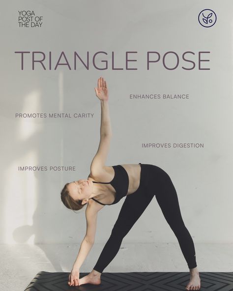 Yoga Pose of the Day: Trikonasana (Triangle Pose) 🧘‍♀️ Looking for a versatile yoga pose that’s perfect for both beginners and seasoned yogis? Look no further! Trikonasana is a fantastic all-arounder. This amazing asana strengthens muscles, improves flexibility, balance, posture, and even aids digestion. Want to make it more difficult? Try transitioning into the Revolved Triangle pose! Twist your torso in the opposite direction and bring your lower hand to the outside of your front foot. ... Revolved Triangle Pose, Triangle Pose, Improve Flexibility, Yoga Pose, Improve Posture, Improve Digestion, Yoga Poses, Muscles, The Day